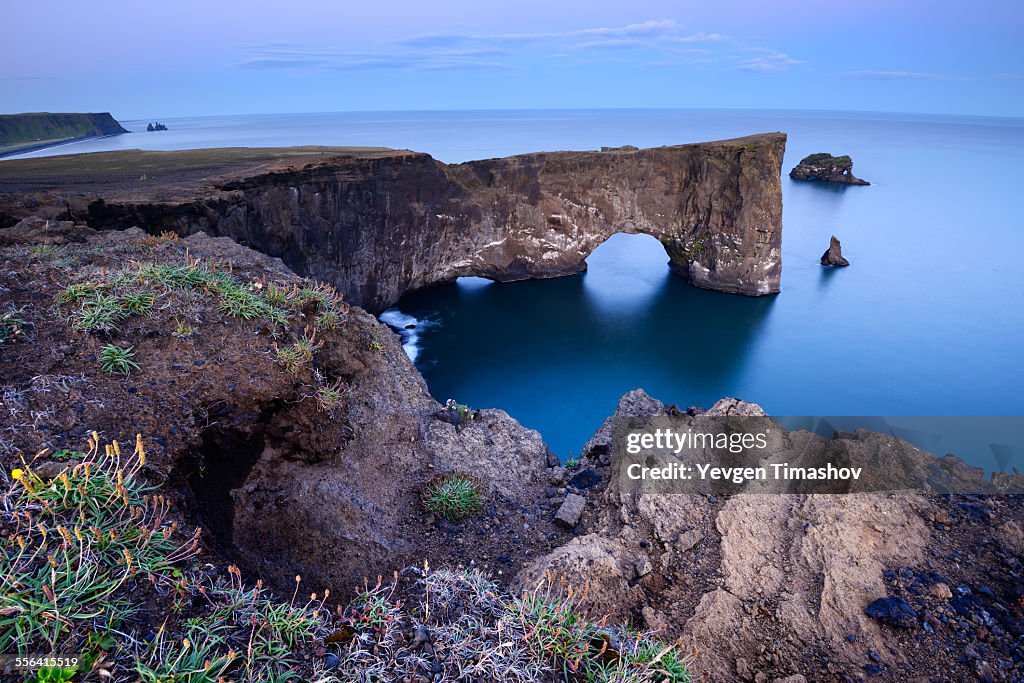 Dyrholaey, Vik Town Area, Iceland