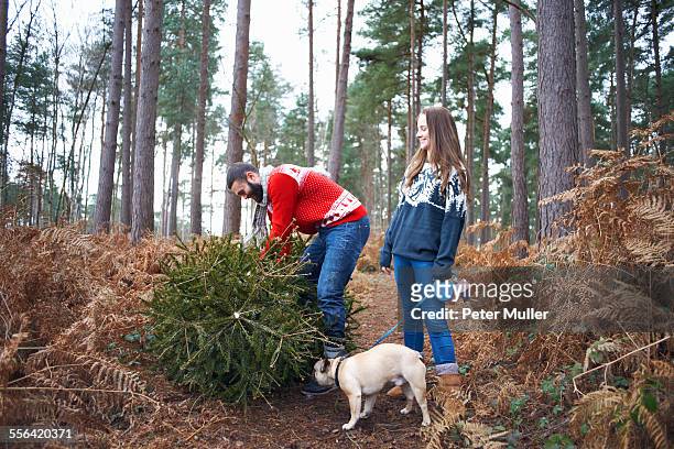 young couple and dog lifting christmas tree in woods - traditional parka stock pictures, royalty-free photos & images
