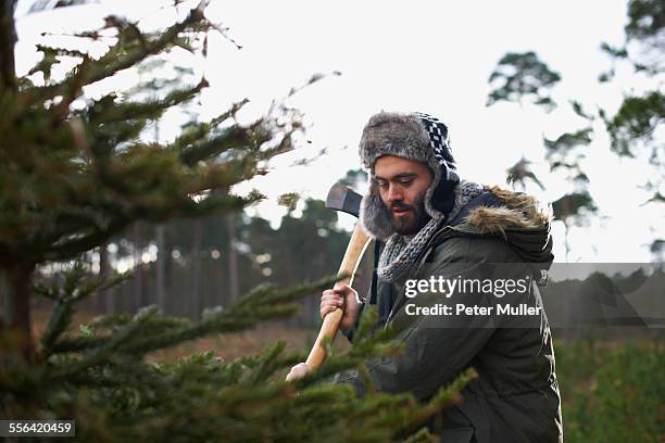young man chopping christmas tree in forest - traditional parka stock pictures, royalty-free photos & images