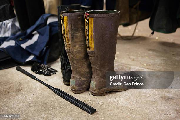 horse riding boots and crop - frustino da equitazione foto e immagini stock