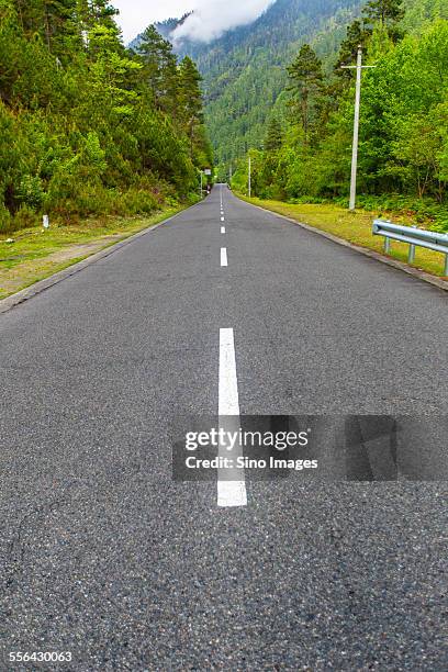 highway in the woods - autonoma regionen tibet bildbanksfoton och bilder