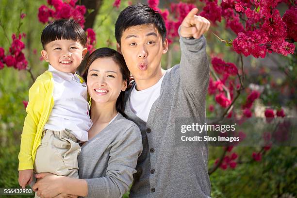 family playing in a park - person holding flowers with high energy stock-fotos und bilder