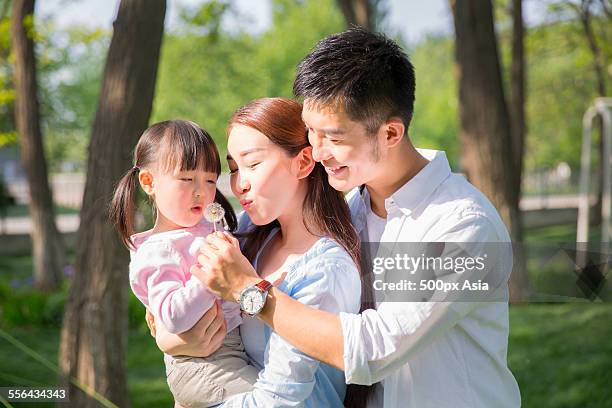 family going for an outing - person holding flowers with high energy stock-fotos und bilder