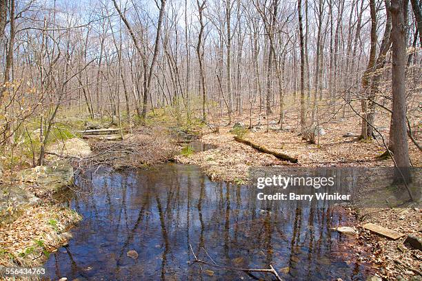 Early Spring Nj Montville Nj Photos and Premium High Res Pictures - Getty Images