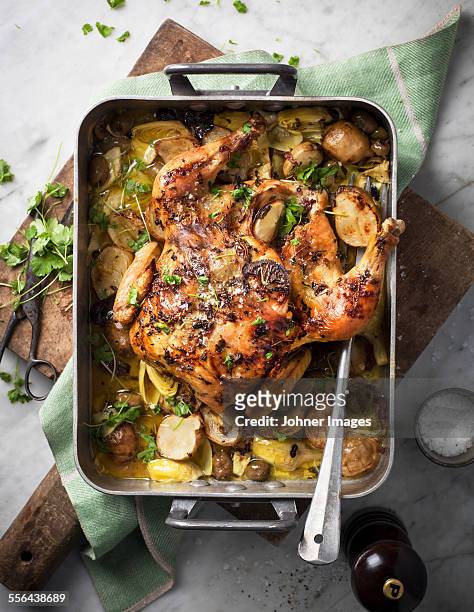 roasted chicken - jerusalem artichoke stock pictures, royalty-free photos & images