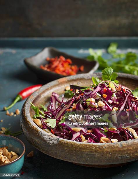 red cabbage salad - purple cabbage stock pictures, royalty-free photos & images