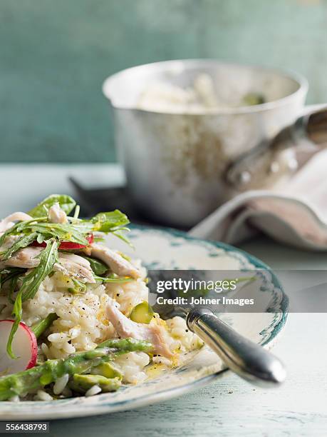 risotto on plate - poultry stock pictures, royalty-free photos & images