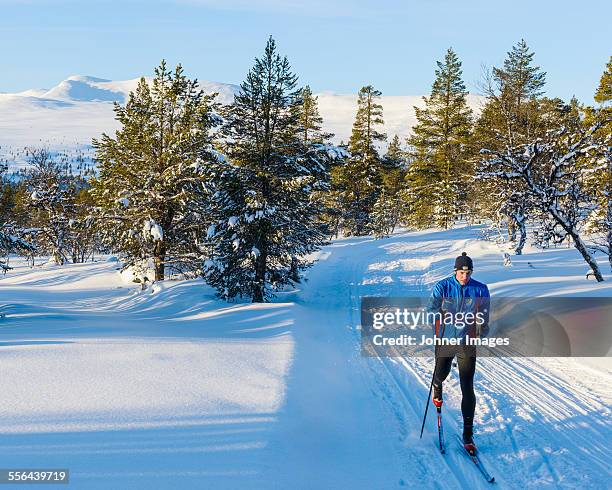 man cross country skiing - esquíes de fondo fotografías e imágenes de stock