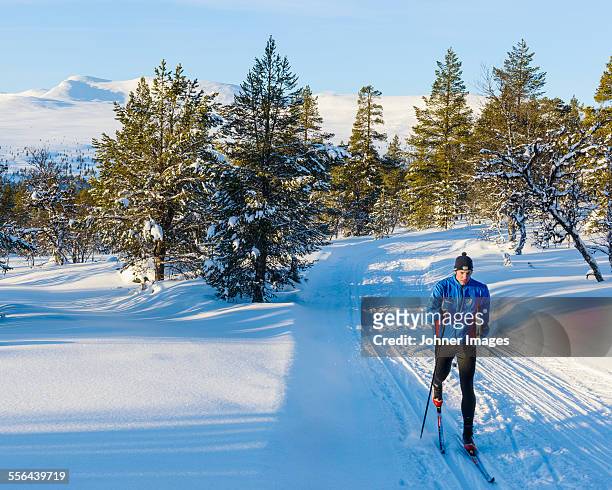 man cross country skiing - cross country skis stockfoto's en -beelden
