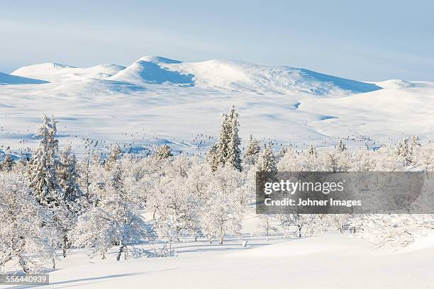 winter landscape - dalarna winter stock-fotos und bilder