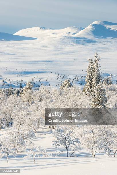 winter landscape - dalarna winter stock-fotos und bilder