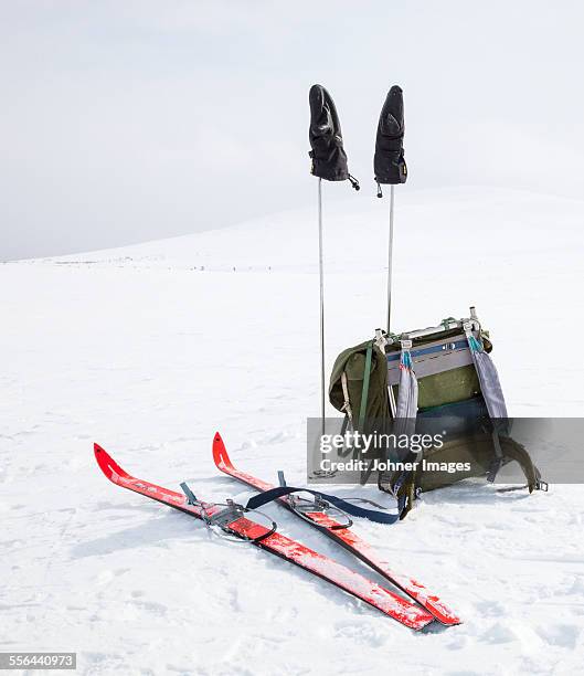 backpack and skis on snow - 北歐滑雪項目 個照片及圖片檔