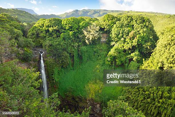 usa, hawaii, maui, haleakala national park, makahiku falls - water fall hawaii 個照片及圖片檔
