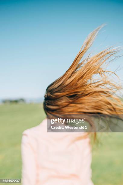 wind moving long hair of a woman - hair blowing stockfoto's en -beelden