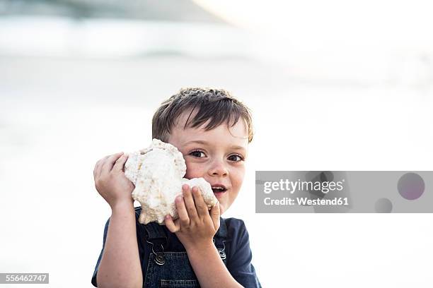 boy on the beach listening to the sound of the ocean in a big shell - sea shell stock-fotos und bilder