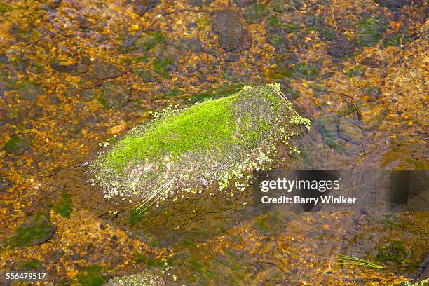 Passaick Rocks 176 Passaic County Stock Photos, High-Res Pictures, and Images - Getty ...