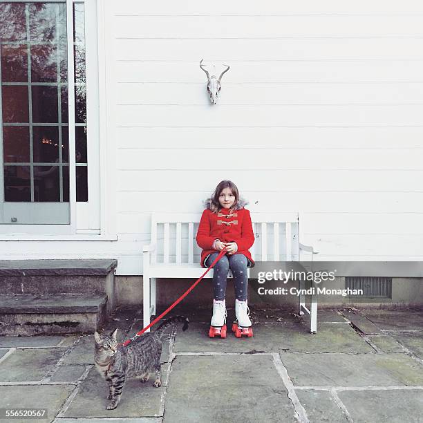 roller skating with a cat - roller skating winter stock pictures, royalty-free photos & images