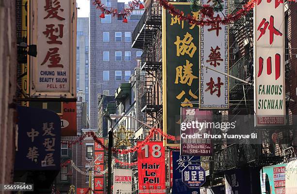 store and restaurant signs - chinatown stock-fotos und bilder