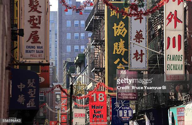 store and restaurant signs - chinatown stock pictures, royalty-free photos & images