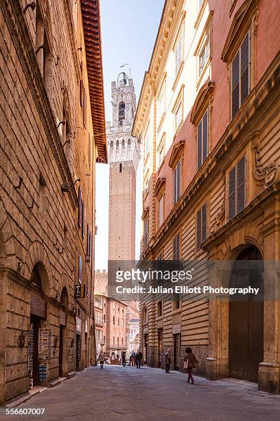 torre del mangia in siena, italy - siena italy stock pictures, royalty-free photos & images