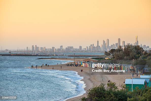 brighton beach, melbourne, australia - melbourne stock pictures, royalty-free photos & images