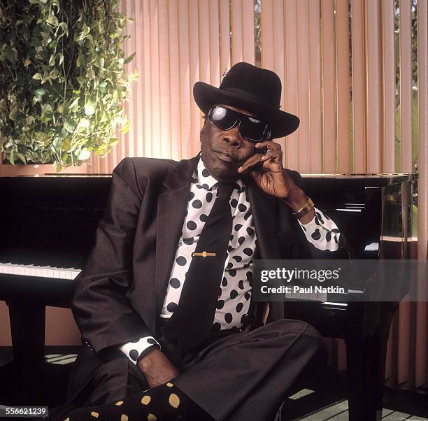 Portrait of American Blues musician John Lee Hooker at the Sunset Marquis Hotel, Los Angeles, California, April 2, 1991.