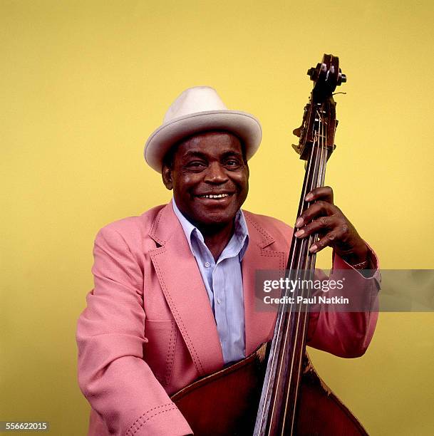 343 Willie Dixon Photos & High Res Pictures Getty Images