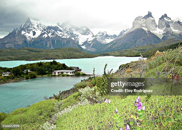 torres del paine national park - puerto natales stock pictures, royalty-free photos & images
