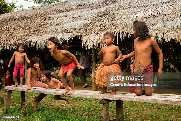 Children at play in a village on the Amazon River, Peru.