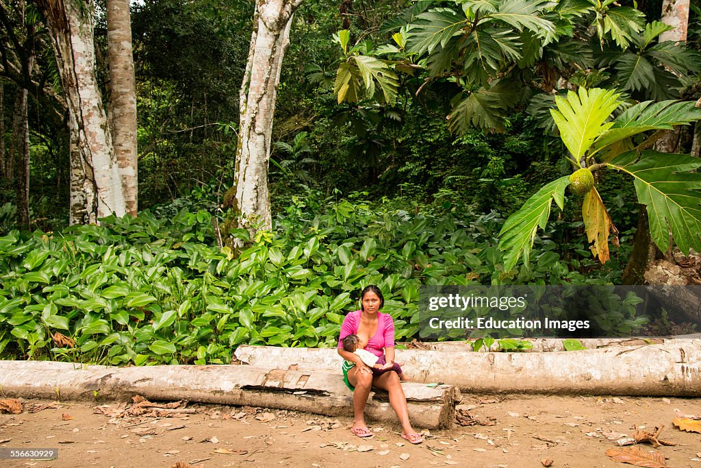 Mother sits on a log nursing baby in the jungle, Peru.