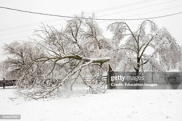 Damage from an ice storm in Kentucky USA.