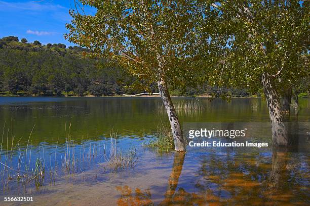 Ruidera Lagoons, Lagunas de Ruidera Natural Park, Albacete and Ciudad Real provinces, Spain.