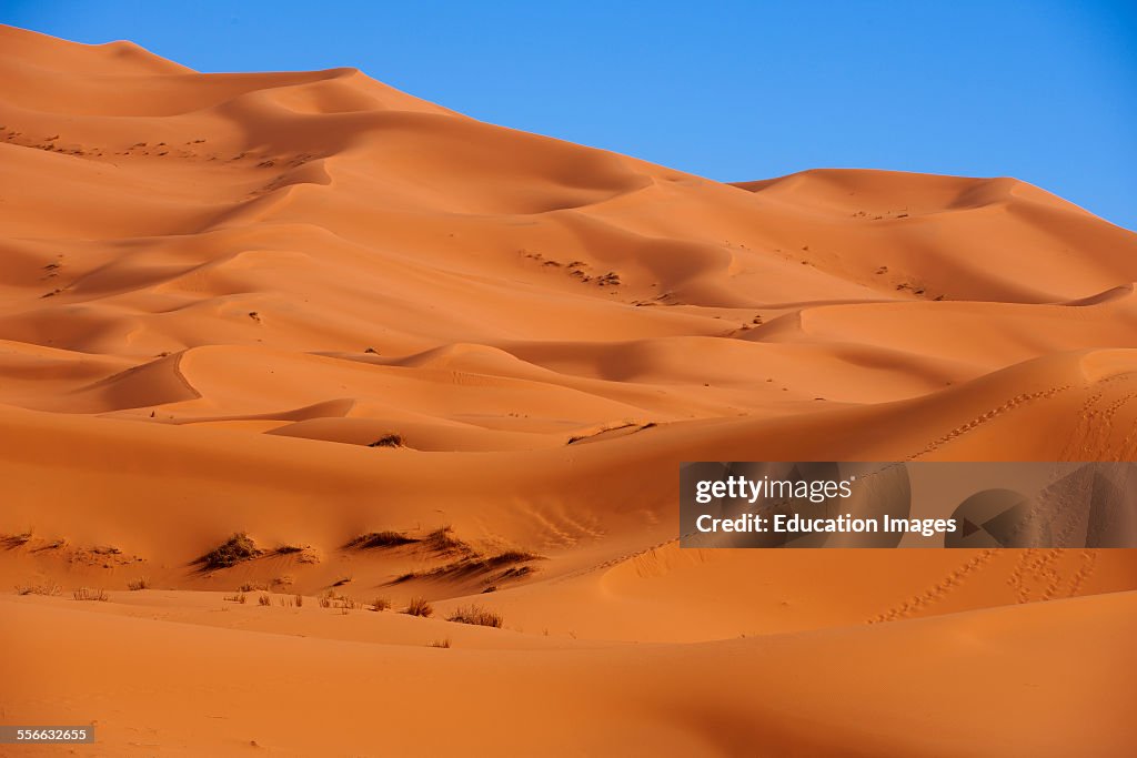 Merzouga, Erg Chebbi, Merzouga sand dunes, Sahara Desert, Morocco, Maghreb, North Africa.