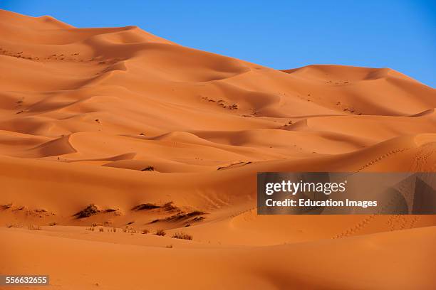 Merzouga, Erg Chebbi, Merzouga sand dunes, Sahara Desert, Morocco, Maghreb, North Africa.