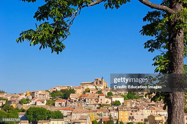 Valensole Village, Alpes de Haute Provence, Provence, Provenza-Alpes-Costa Azul, France.