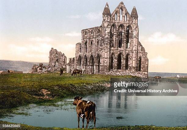 Whitby Abbey, Yorkshire, England.