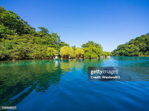 jamaica, port antonio, blue lagoon - port antonio jamaica stock pictures, royalty-free photos & images