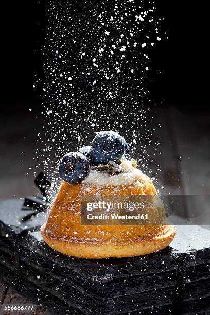 mini gugelhupf filled with ricotta and cream cheese garnished with blueberries - powdered sugar stock-fotos und bilder