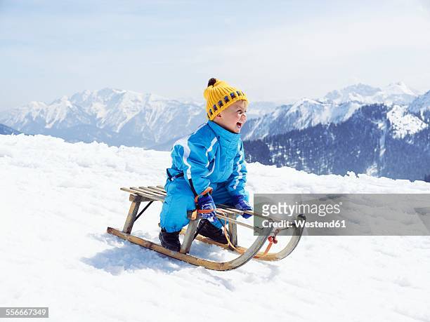 germany, tegernsee, wallberg, smiling little boy sitting on sledge - sledge stock-fotos und bilder