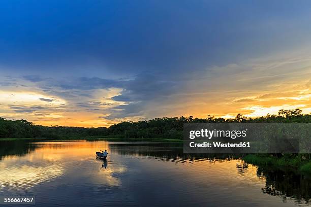 ecuador, amazon river region, dugout canoe on lake pilchicocha at sunset - regione amazzonica foto e immagini stock