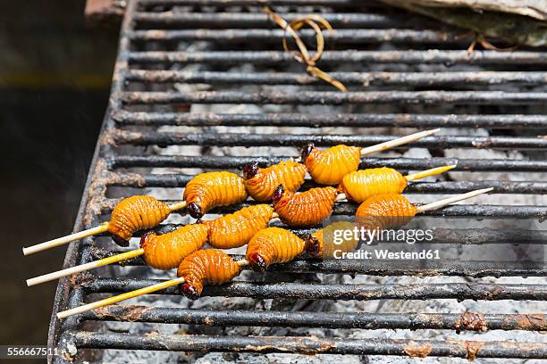 ecuador, puerto francisco de orellana, grilled larva of trunk beetle - 幼虫 ストックフォトと画像