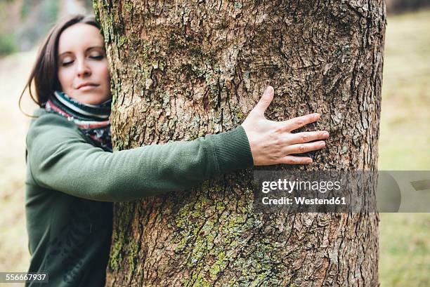 woman hugging a big tree trunk - big hug stock pictures, royalty-free photos & images