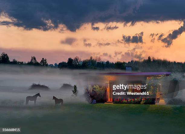 Estonia, lighted wooden house and horses in rural misty landscape