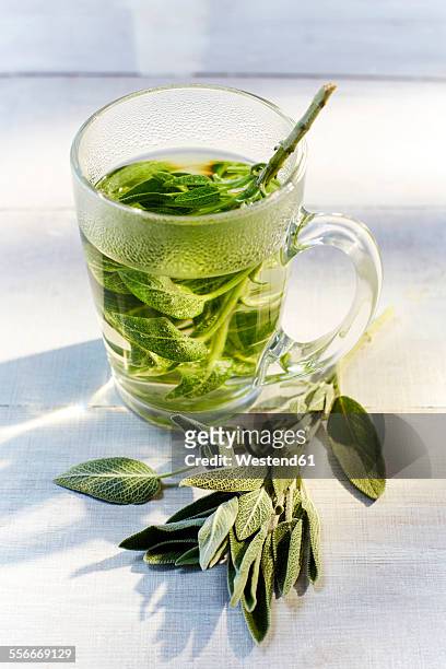 glass of hot sage tea and fresh sage - tea sage stock pictures, royalty-free photos & images