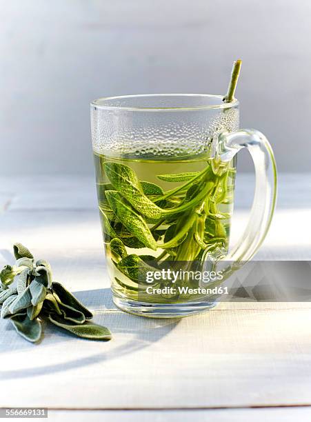 glass of hot sage tea and fresh sage - tea sage stock pictures, royalty-free photos & images