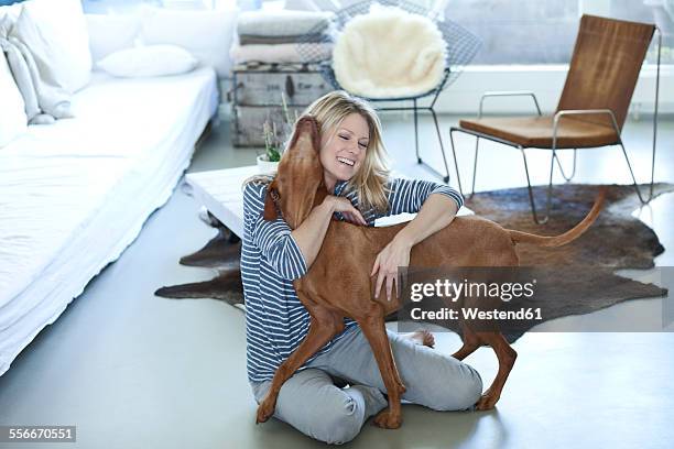 woman playing with her dog at home - vizsla stock pictures, royalty-free photos & images