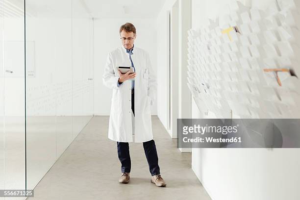 mature man in lab coat standing in hallway looking at digital tablet - doctor standing foto e immagini stock