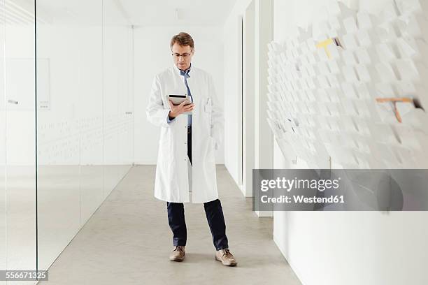 mature man in lab coat standing in hallway looking at digital tablet - doctor standing stock pictures, royalty-free photos & images