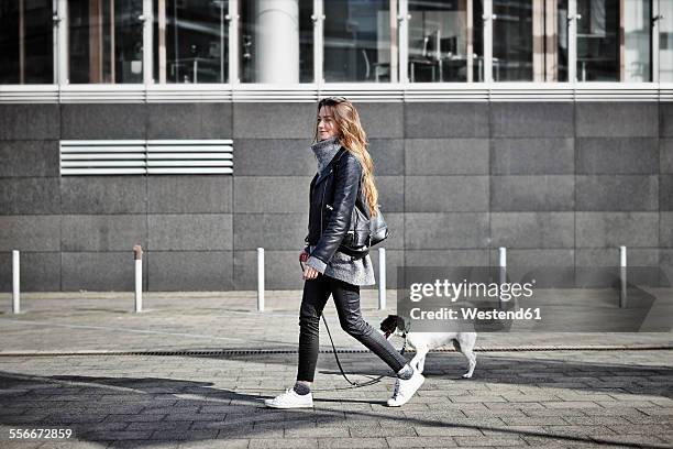 germany, dusseldorf, young woman walking her dog - walking in street stock-fotos und bilder