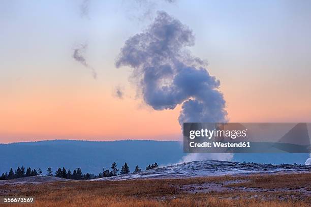 usa, wyoming, yellowstone national park, old faithful geyser erupting at sunset - yellowstone nationalpark stock-fotos und bilder